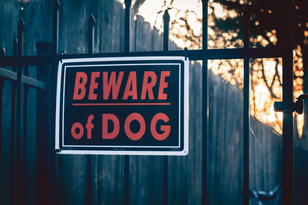 Beware of dog sign hanging on a wrought iron gate with a wooden fence, trees, and sunrise in the background.