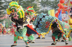 lion dance during the lunar new year celebration